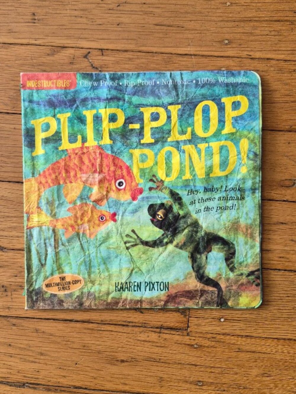 Plip-Plop Pond Book by Indestructibles